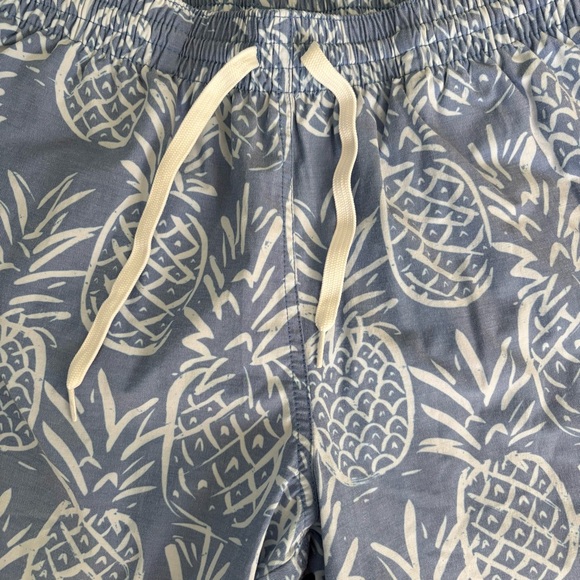 Chubbies Swim Trunks Blue White Pineapple Mesh Liner - Picture 3 of 10